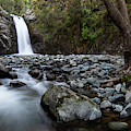Waterfall in the forest.